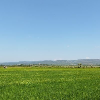 watdehelbrader's profile picture. 