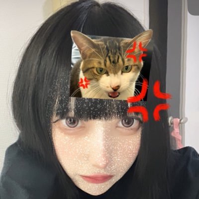 tomodesu_ty's profile picture. アイドル、メンズコンカフェ、アパレルモデルやアイドル系のライブスタッフの人材派遣やってます🥺 詳細はDMまで！