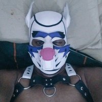 🐾💙QuintheBlue💙🐾 (@dabluestripycat) Twitter profile photo