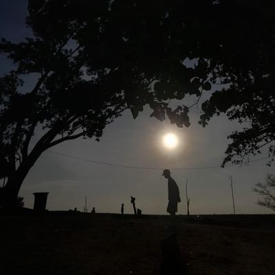 AidaAlizha's profile picture. desgracia, ruina, soledad