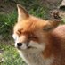 alfie (@purplefrog2003) Twitter profile photo alfie (@purplefrog2003) Twitter profile photo