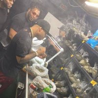 thc vape cart edible shop (@robertmurphy420) 's Twitter Profile