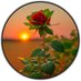 Patricia Valdez (@patriciacubal) Twitter profile photo Patricia Valdez (@patriciacubal) Twitter profile photo