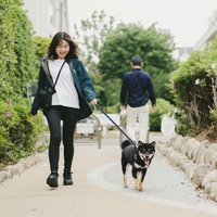 Reimi Abe (@reimi_af) 's Twitter Profile Photo