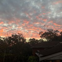 ssx (@ssx2336) 's Twitter Profile