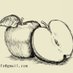 miwa produce。 (@miwa_produce) Twitter profile photo miwa produce。 (@miwa_produce) Twitter profile photo