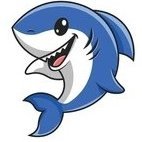 Might be a shark. Might be a person. Who knows until I bite you?