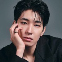 WONWOO. (@womwooi) 's Twitter Profile