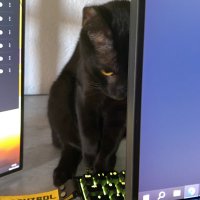 J (@zdezeek) 's Twitter Profile