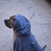 @ Crypto_Dog184 (@crypto_dog184) Twitter profile photo @ Crypto_Dog184 (@crypto_dog184) Twitter profile photo