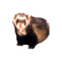 ๐พ (@0x000000e2) 's Twitter Profile