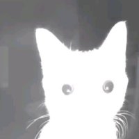 Himawari (C0MMS CLOSED) (@himawari1617) 's Twitter Profile