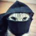 rove (@vvrows) Twitter profile photo rove (@vvrows) Twitter profile photo