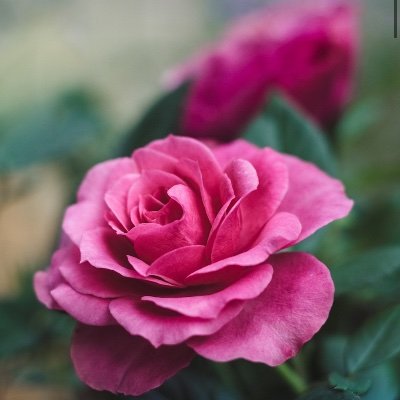 Sarah1571581's profile picture. 🦋🦋🦋