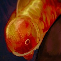 H0_l2 (@h0_l2) 's Twitter Profile