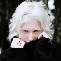 amelie florence 🦡❄️ (@f7723a) 's Twitter Profile