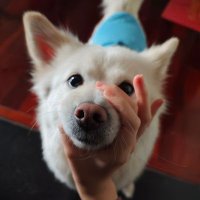 Nord (@nord_0402) 's Twitter Profile Photo