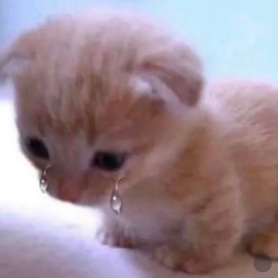 ﾕｶさんのプロフィール画像