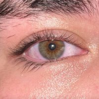 Leann (@leannsito) 's Twitter Profile Photo