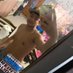 Archiecastillo (@rustyjean22) Twitter profile photo Archiecastillo (@rustyjean22) Twitter profile photo