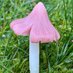 Ballerina (@pink_waxcap) Twitter profile photo Ballerina (@pink_waxcap) Twitter profile photo