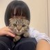 仔猫の母親、看護師 (@bvs6ymwhn662736) Twitter profile photo 仔猫の母親、看護師 (@bvs6ymwhn662736) Twitter profile photo