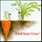 Huda_AL0rf's profile image