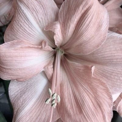 2702_ZIP's profile picture. ㅤㅤㅤㅤ✴ㅤㅤㅤㅤ⎯⎯⎯⎯⎯⎯ㅤㅤㅤㅤ𝖥𝖾𝖻, 𝟫𝟨