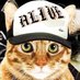 藤木 剛 (@go_saikouisen) Twitter profile photo 藤木 剛 (@go_saikouisen) Twitter profile photo