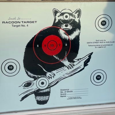Midnight_floor's profile picture. just a 🦝 trying to learn about the world