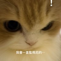 理列考伯 (@kryinqq) 's Twitter Profile