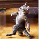 Carl Hubert - @pfc_huey - Twitter