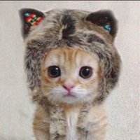 猫バス@FX (@nekobusfx) Twitter profile photo