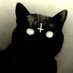 Cricri (@cricris_hb) Twitter profile photo Cricri (@cricris_hb) Twitter profile photo
