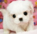 팔로우 부탁합니다!!!ㅎㅎㅎ