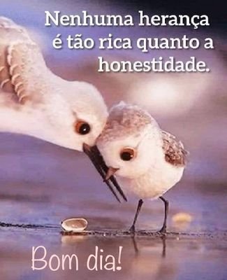 mariamasfs's profile picture. Uma pessoa que luta muito pelo meu país