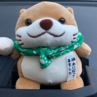 コツメカワウソ@オーラNISMO (@auranismo829) Twitter profile photo