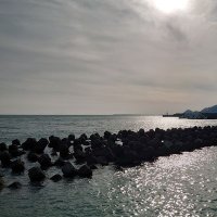 泥沼 (@k1pb6etlja60215) 's Twitter Profile