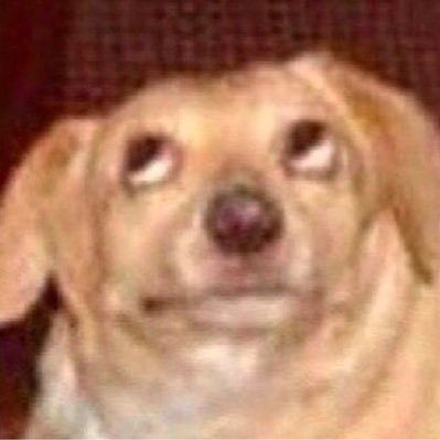 workerbeee's profile picture. Pera aspra ad opel astra