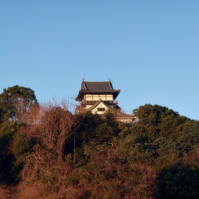 gPjLB07fjU64053's profile picture. しがない一般人