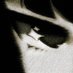 dwern (@dwxrn) Twitter profile photo dwern (@dwxrn) Twitter profile photo