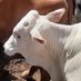 Demeter Farms (@demeterfarms) Twitter profile photo Demeter Farms (@demeterfarms) Twitter profile photo