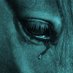 Cyan horse 11th biggest fan (@alecadbare) Twitter profile photo Cyan horse 11th biggest fan (@alecadbare) Twitter profile photo