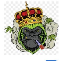 Crypto KOSIM (@cryptokosim) 's Twitter Profile
