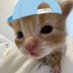 따먹ꯁ (@sex__me1018) Twitter profile photo 따먹ꯁ (@sex__me1018) Twitter profile photo