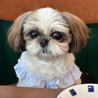 쪼꼬❤ (@lovebbh__920506) 's Twitter Profile Photo 쪼꼬❤ (@lovebbh__920506) 's Twitter Profile Photo