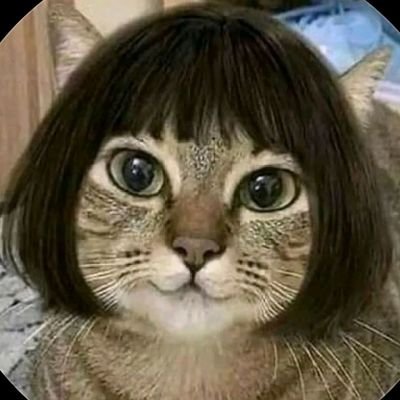chrisssycatt's profile picture. 