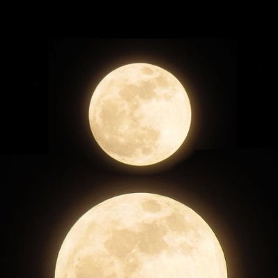 lixipiebloom's profile picture. 