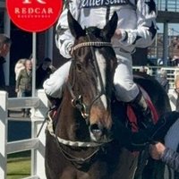 🇾🇪 Doon 🐎 (@doon1976) 's Twitter Profile Photo 🇾🇪 Doon 🐎 (@doon1976) 's Twitter Profile Photo