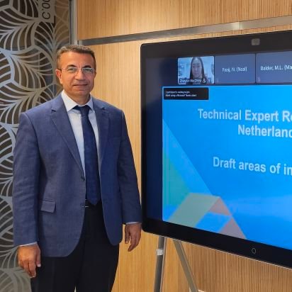 Enerji Yönetimi, Çevresel Sürdürülebilirlik, UNFCCC Uzmanı